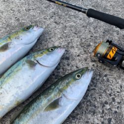 ライトショアジギング