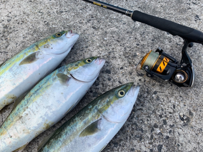 ライトショアジギング