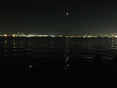 アタリは多いが、、、