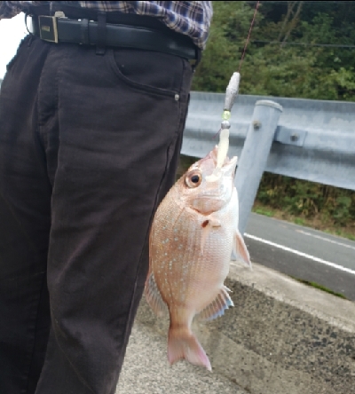 釣り日和