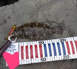 デイシーバス狙いだったが…