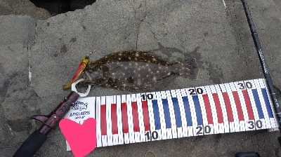 デイシーバス狙いだったが…