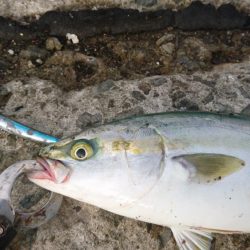 早朝短時間勝負！！