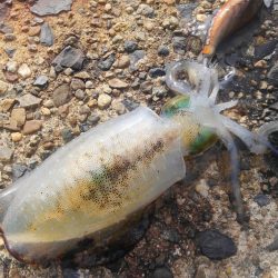 風が吹く前に～⤴