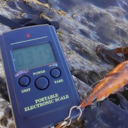 ヒットセンサー的中