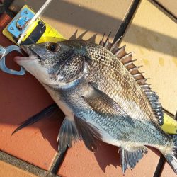 澄みっ澄み！！辰巳橋で