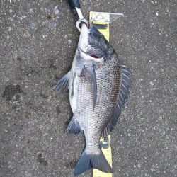 台風前に　~さざなみ公園~