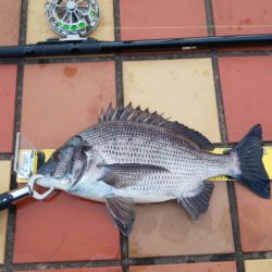 短時間にて　~辰巳橋~