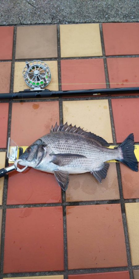 短時間にて　~辰巳橋~