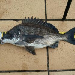 久々の40ＵＰ　~さざなみ公園~