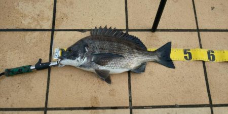 久々の40ＵＰ　~さざなみ公園~