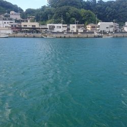 オキアミフカセで太刀魚祭り