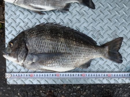 満潮１時間前に