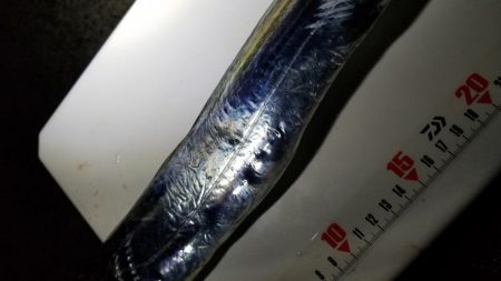 風にも負け…てしまいながらも