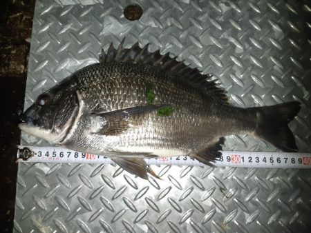 アタリは多いんだけど