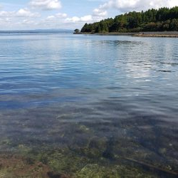 SUPフィッシング