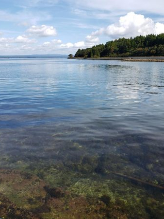 SUPフィッシング