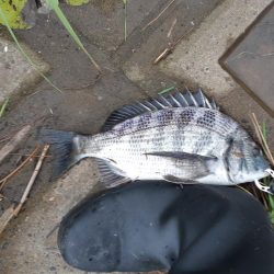 強風で海が大荒れ