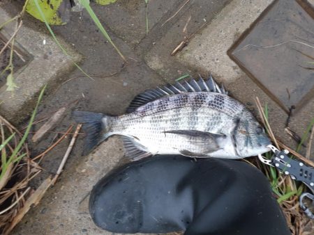 強風で海が大荒れ