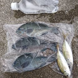 フカセで小物色々