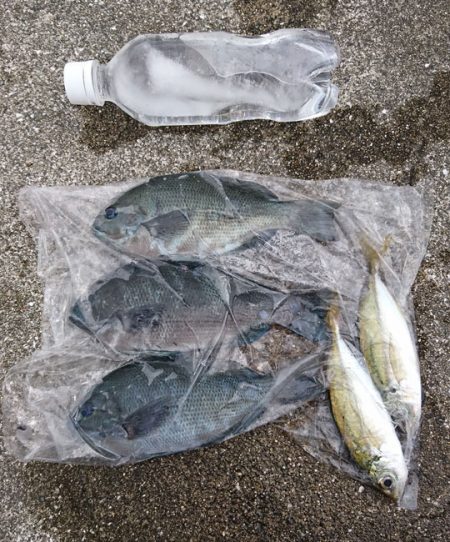 フカセで小物色々