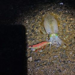 大変良くできました。