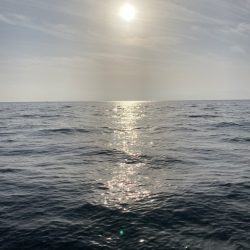 エメラルダスAIR86MIお疲れ様でした。