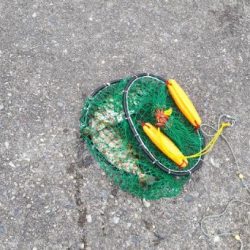 潮とまり、、、、かなあ。グレもタイも無し（涙）