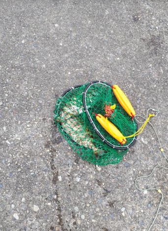 潮とまり、、、、かなあ。グレもタイも無し（涙）