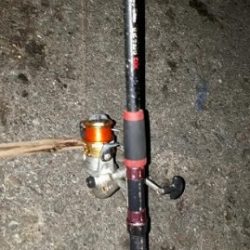 アジ！アジ！！アジ！！！アジ！！！！アジ！！！！！！入れ食い☆