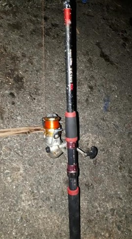 アジ！アジ！！アジ！！！アジ！！！！アジ！！！！！！入れ食い☆