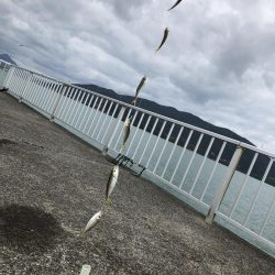 今回もアジアジアジアジアジアジアジアジアジアジ