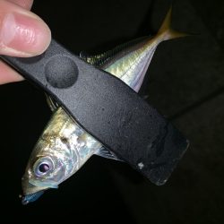 アーバンサイドアジング