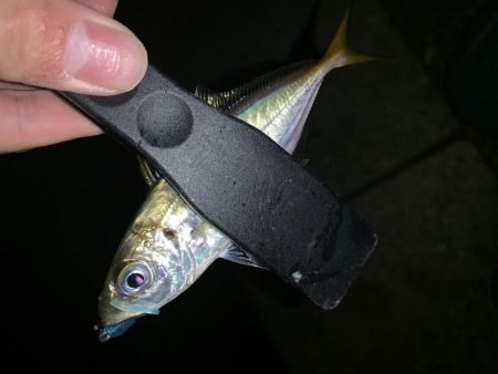 アーバンサイドアジング