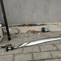 今年初タチウオ