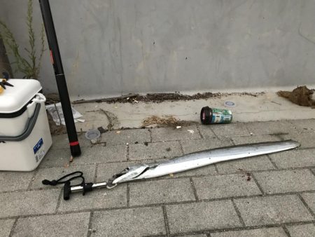 今年初タチウオ