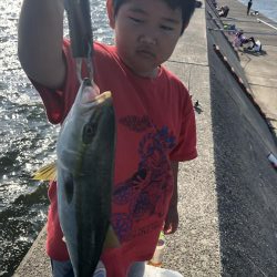 タチウオ不発 良型ツバスゲット^ ^