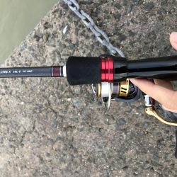 アジ ◯ タチウオ駄目