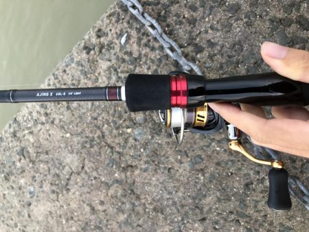 アジ ◯ タチウオ駄目