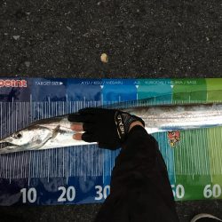 ドラゴン登場！！！