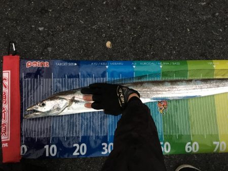 ドラゴン登場！！！