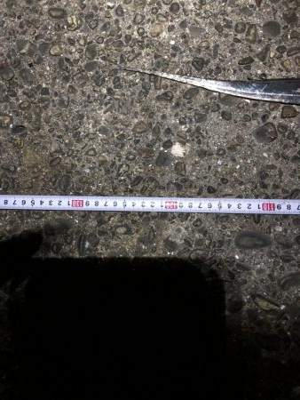 ドラゴンでました