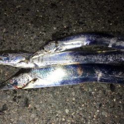 ドジョウテンヤ　3回目