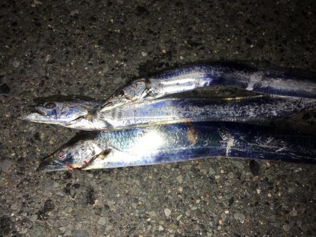 ドジョウテンヤ　3回目