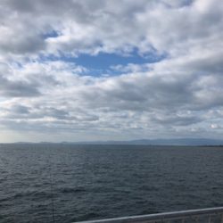 長モノはタチウオだけじゃない!穴子さん!