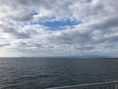 長モノはタチウオだけじゃない!穴子さん!