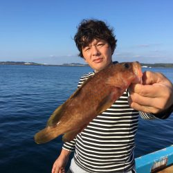壱岐島 アコウ ハモ