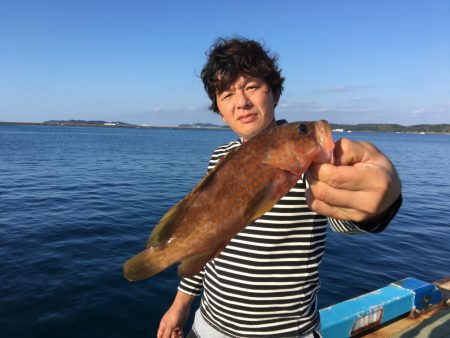 壱岐島 アコウ ハモ