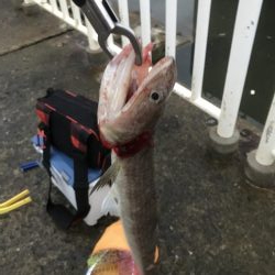 南港魚つり園遠征。