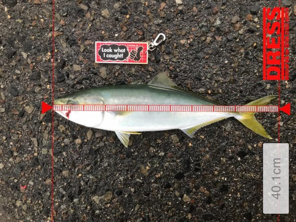 暴風雨神戸遠征